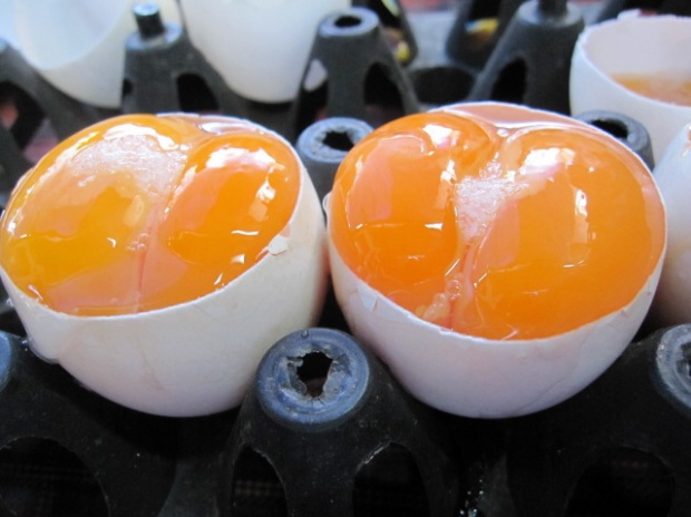 “ไข่ครอบ” เมนูไข่สุดแปลกแสนอร่อย จะทำกินเองหรือทำขายก็ได้นะ